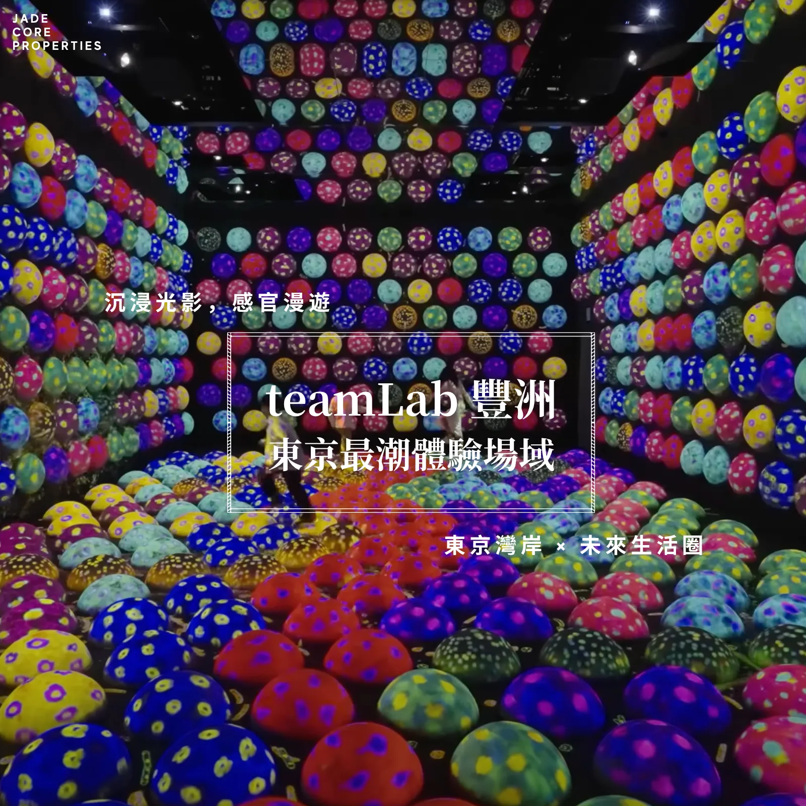teamLab 豐洲｜東京最潮體驗場域 ✨ 光影、水岸與城市未來的交會點