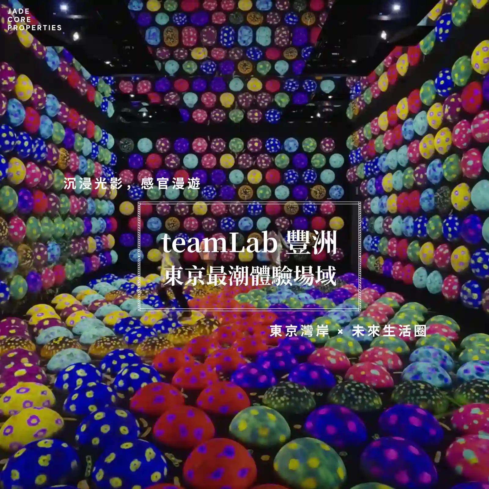 teamLab 豐洲｜東京最潮體驗場域 ✨ 光影、水岸與城市未來的交會點